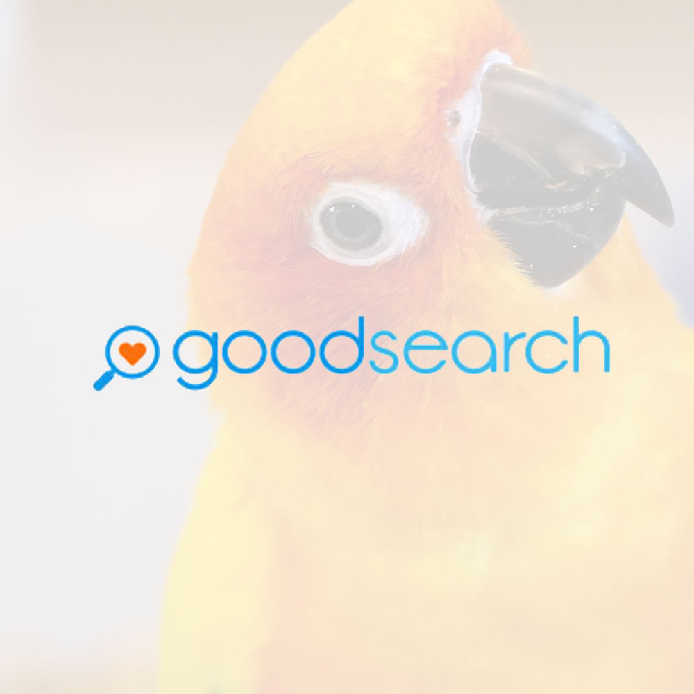 Ways to Give - Companion Parrots Re-homed: Giving Parrots a Fresh Start